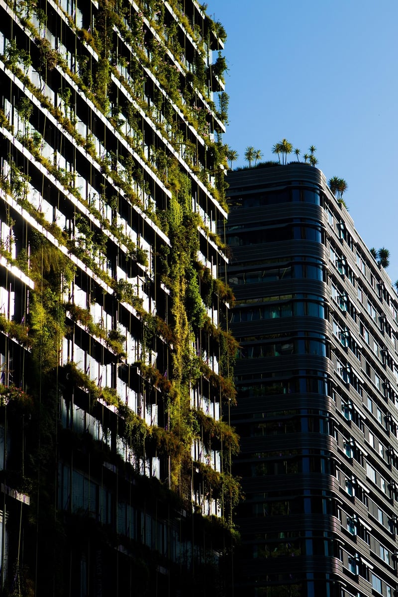 Indoor Green Wall